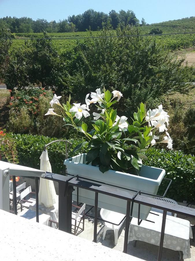 Bed and Breakfast La Terrazza Del Barbaresco Neviglie Esterno foto
